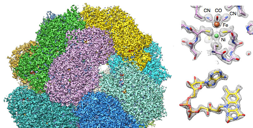 High-resolution cryoEM of soluble multi-protein complexes